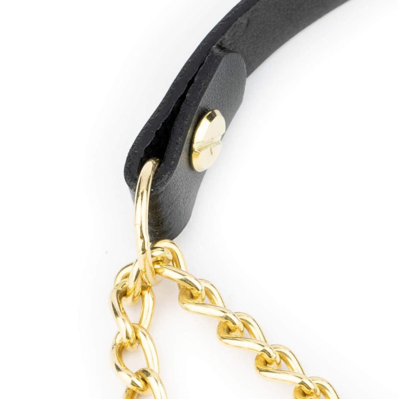 Black Leather Golden Brass Chain Dog Collar 3