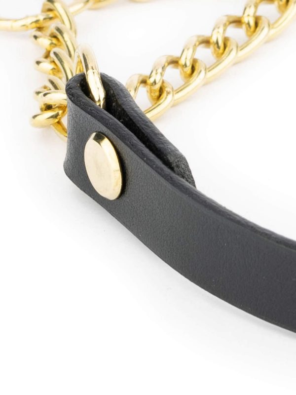 Black Leather Golden Brass Chain Dog Collar 4