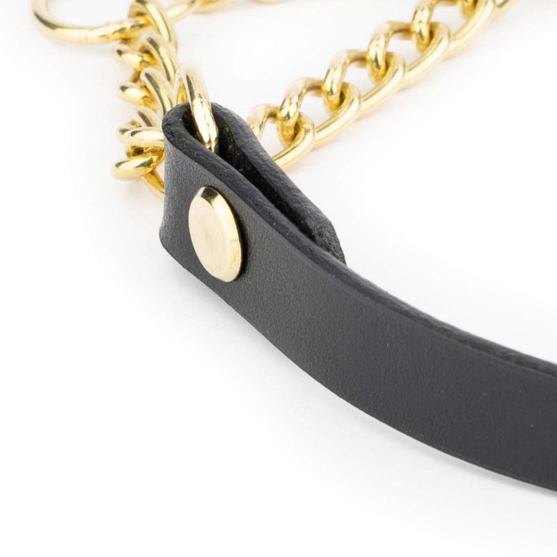 Black Leather Golden Brass Chain Dog Collar 4