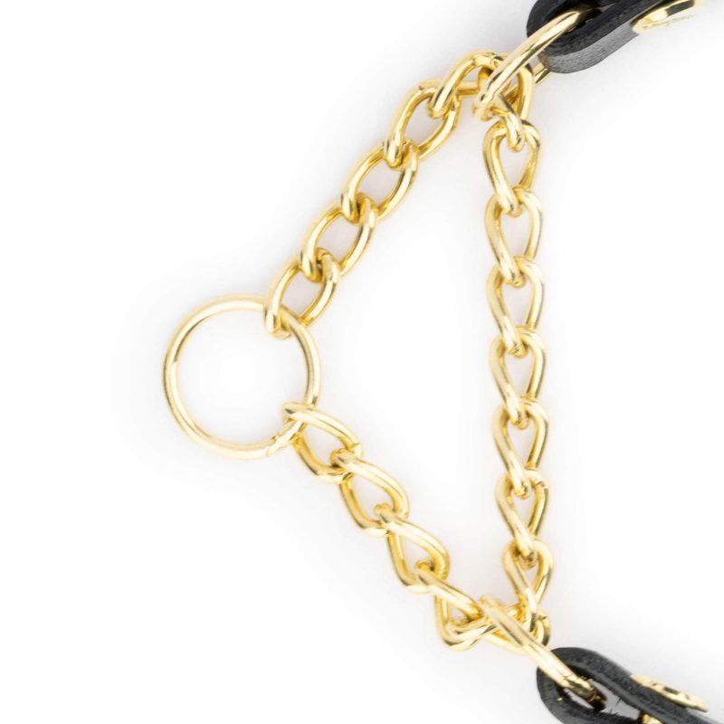 Black Leather Golden Brass Chain Dog Collar 6