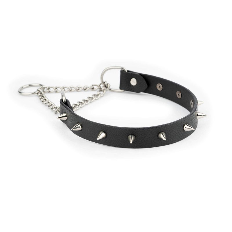 Black Spiked Dog Collar In Black Leather With Martingale 4