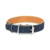 Blue Suede Leather Dog Collar With White Edges 1