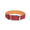 Burgundy Suede Dog Collar With Roller Buckle 3 5 cm 1