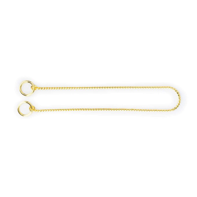 Luxury Gold Snake Chain Show Choke Collar 3 mm 7