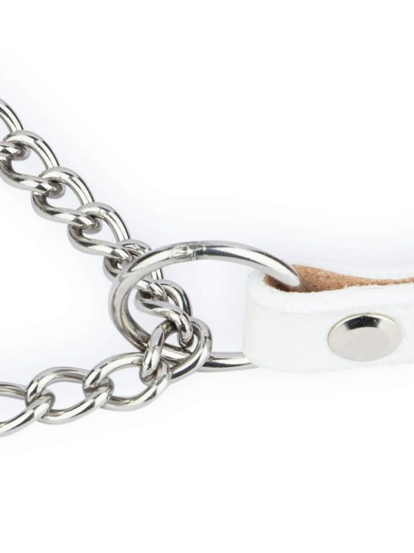 Martingale White Dog Collar With Silver Chain 2