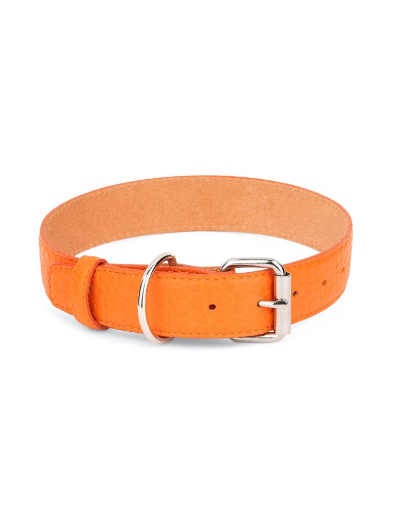 Orange Dog Collar With Roller Buckle 3 5 cm Leather 1