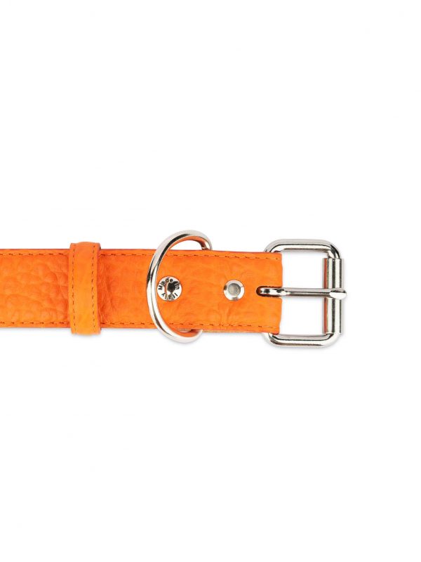 Orange Dog Collar With Roller Buckle 3 5 cm Leather 2