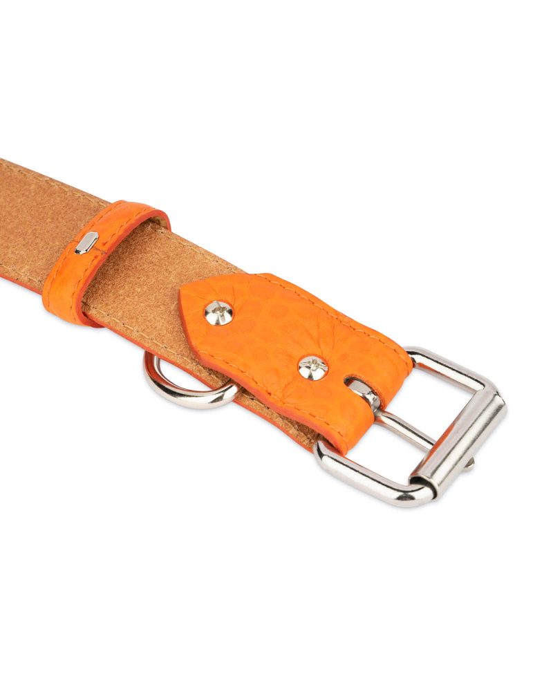 Orange Dog Collar With Roller Buckle 3 5 cm Leather 3
