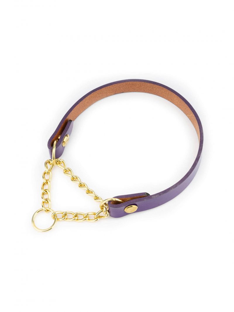 Purple Martingale Dog Collar With Brass Chain 1