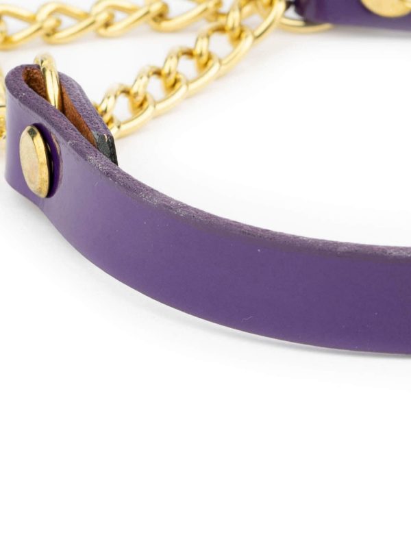 Purple Martingale Dog Collar With Brass Chain 3