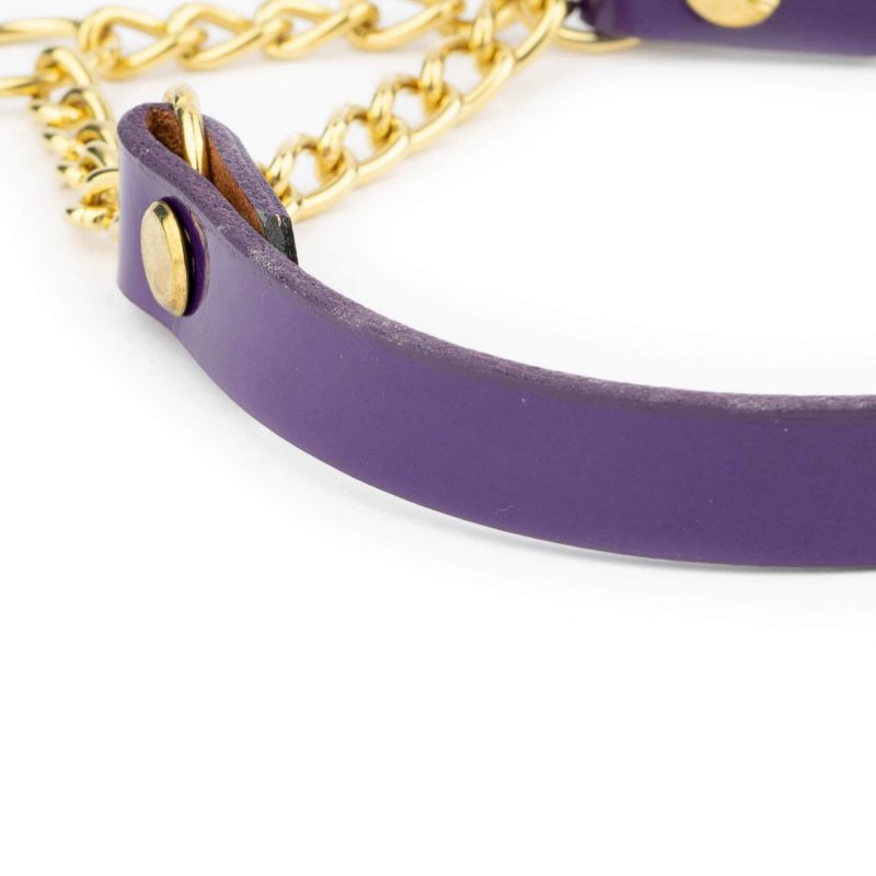 Purple Martingale Dog Collar With Brass Chain 3