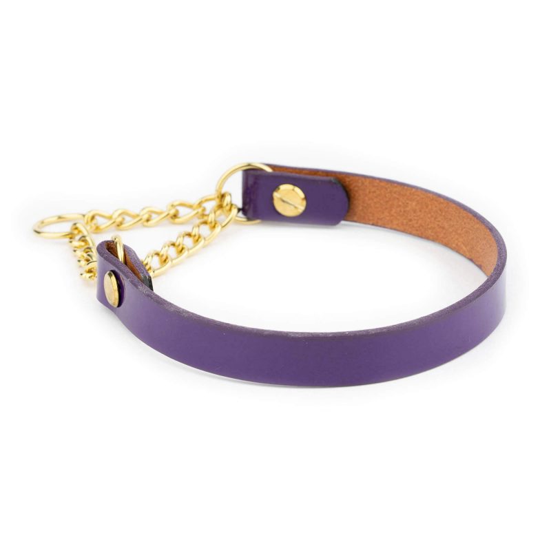 Purple Martingale Dog Collar With Brass Chain 4