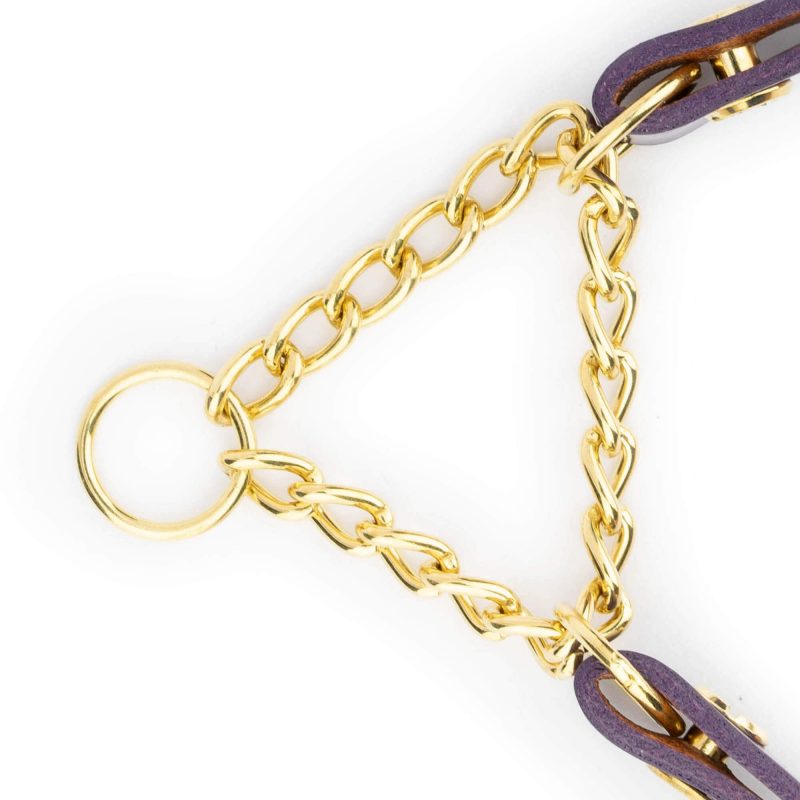 Purple Martingale Dog Collar With Brass Chain 5