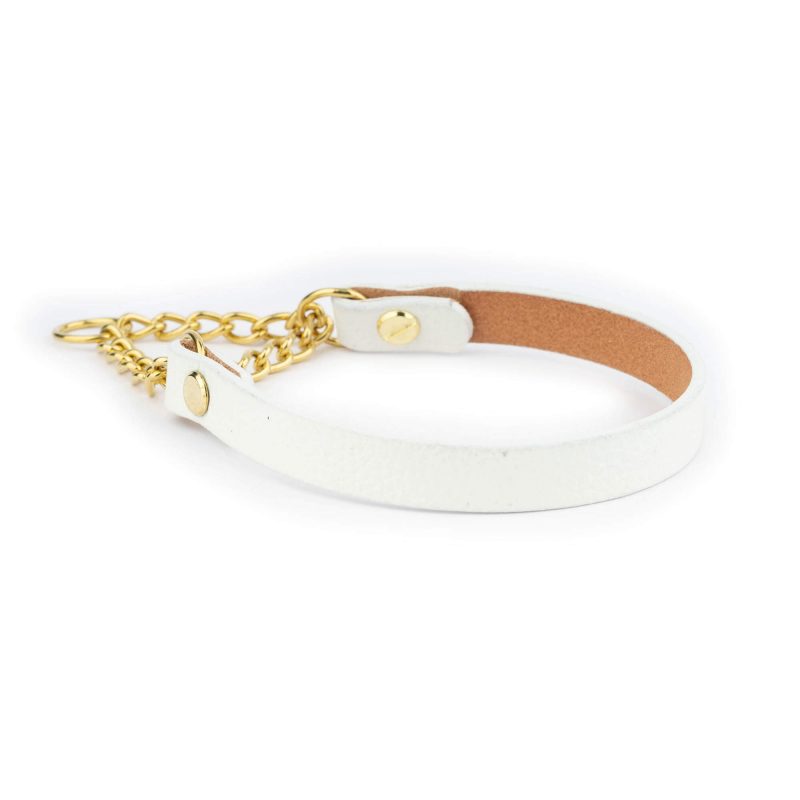 White Martingale Collar For Dogs With Gold Chain 4