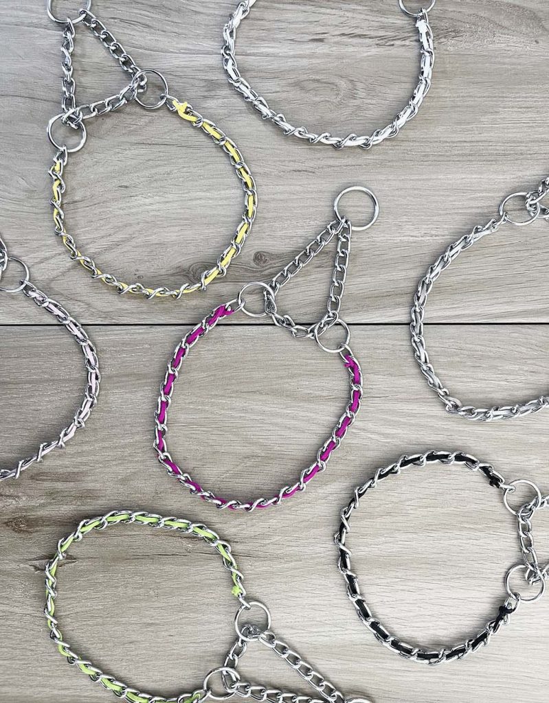 martingale collars chain colorful