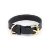 Black Leather Cat Collar With Brass Buckle 1