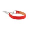 Female Dog Collar Red Suede Leather With Martingale 1