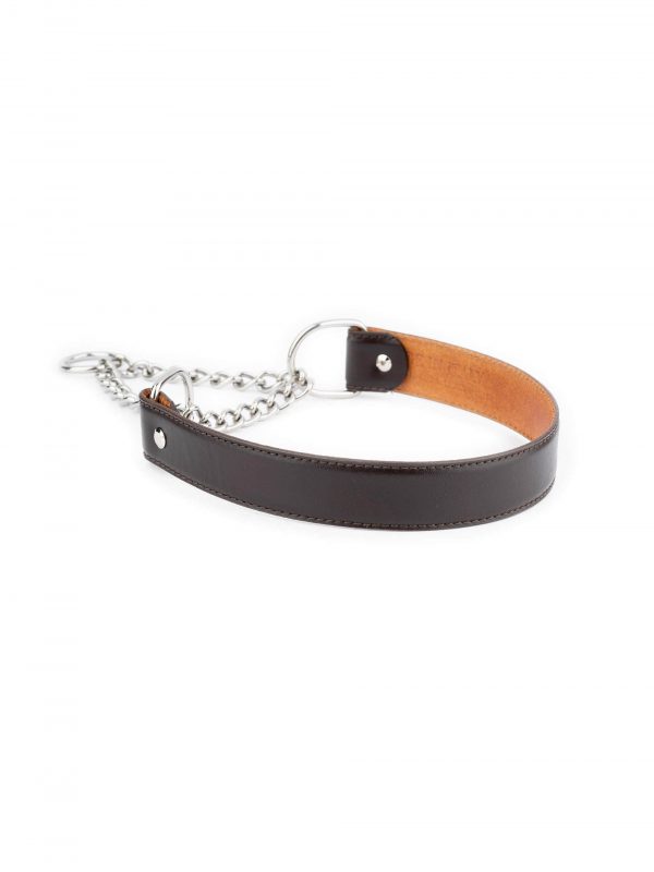 Male Dog Collar Dark Brown Leather With Martingale 1