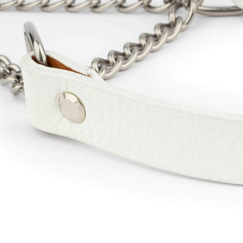 White Leather Martingale Dog Collar 3