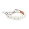 White Leather Spiked Dog Collar With Martingale 4