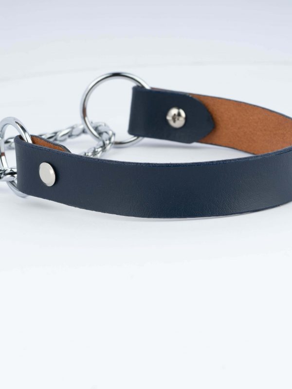 blue dog collar snake chain martingale 2
