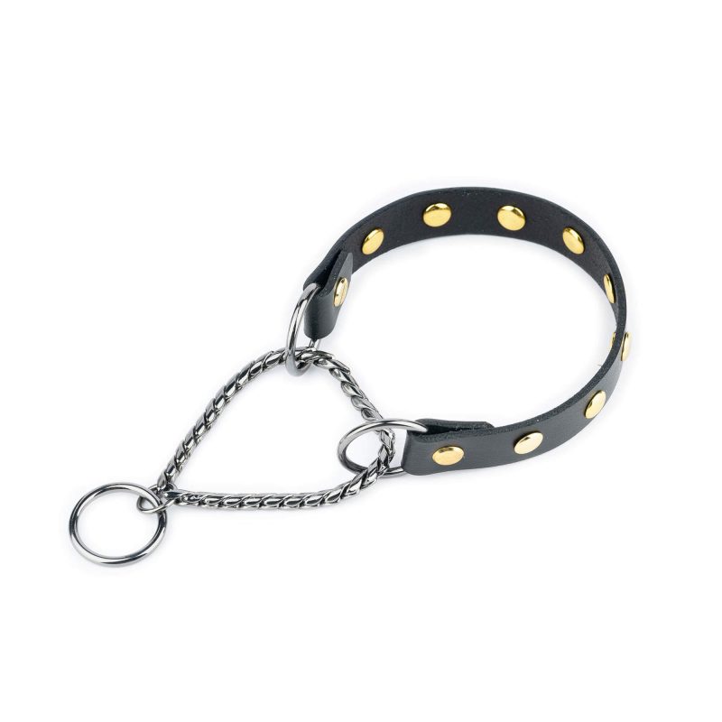 gold studded dog collar martingale black leather 1