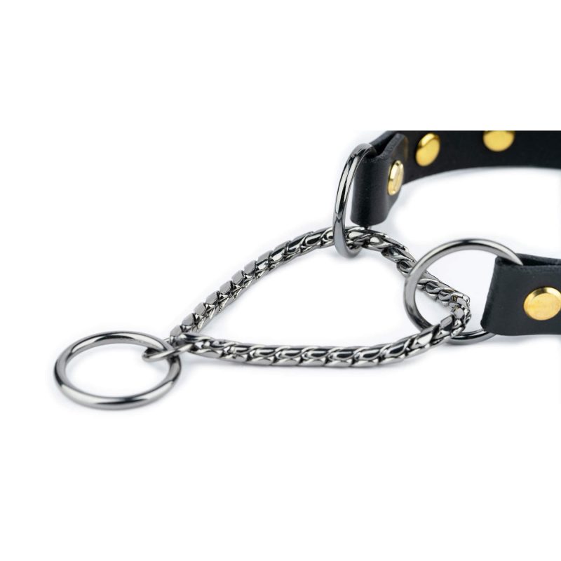 gold studded dog collar martingale black leather 2