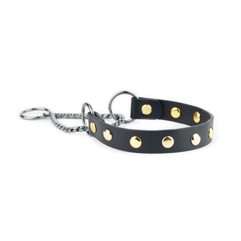 gold studded dog collar martingale black leather 3