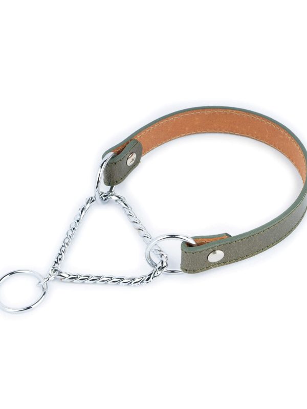 green dog collar snake chain martingale 1