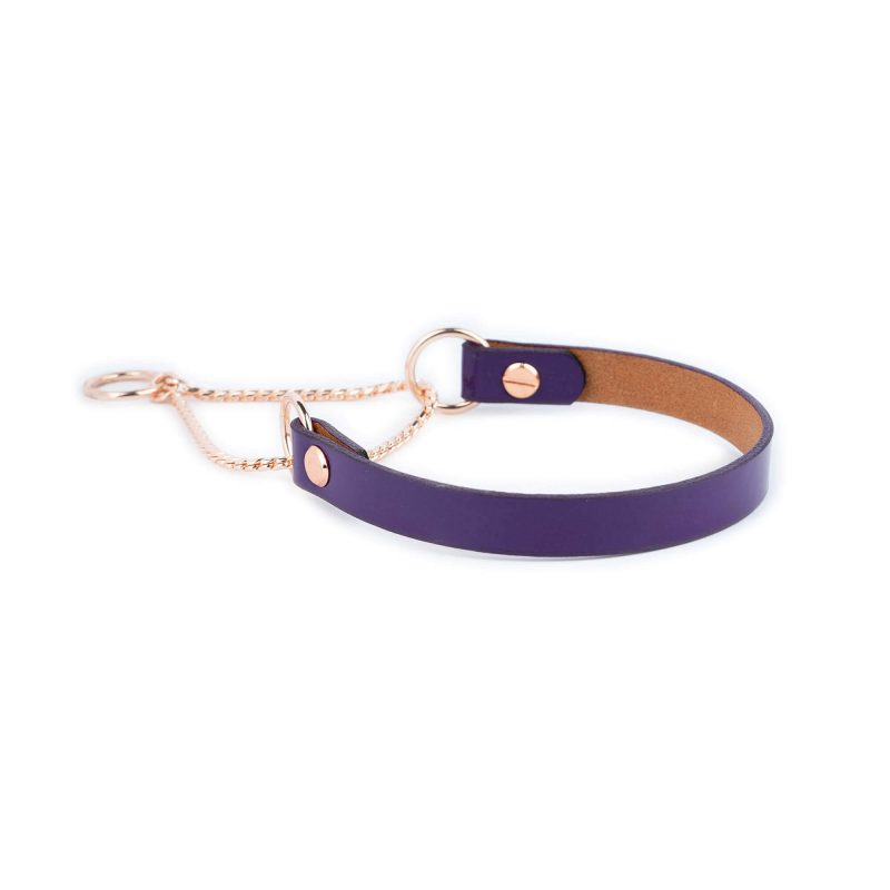 purple leather martingale dog collar with rose gold chain 3