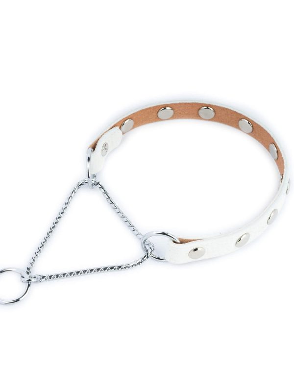 studded dog collars white leather martingale 1