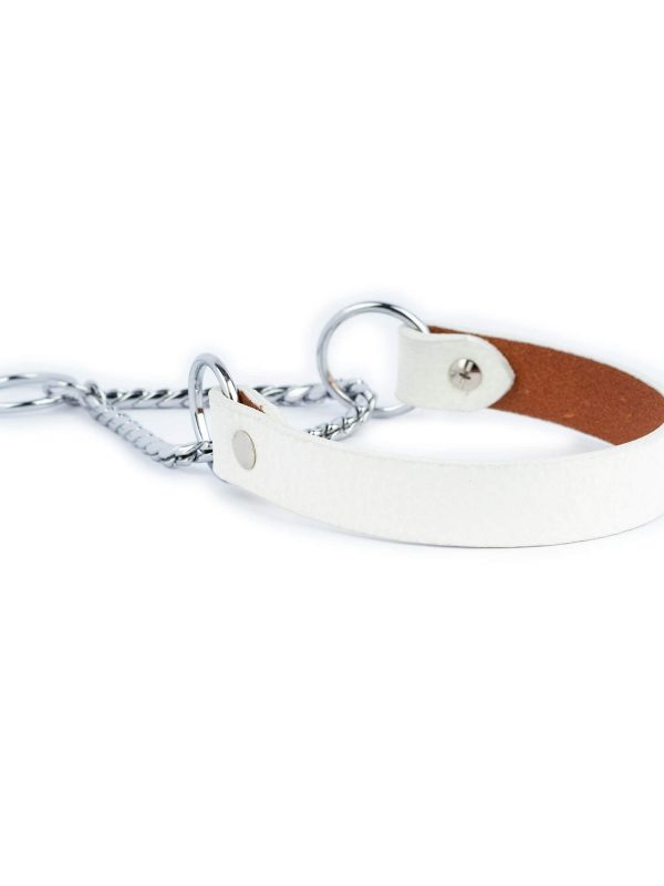 white dog collar snake chain martingale 2