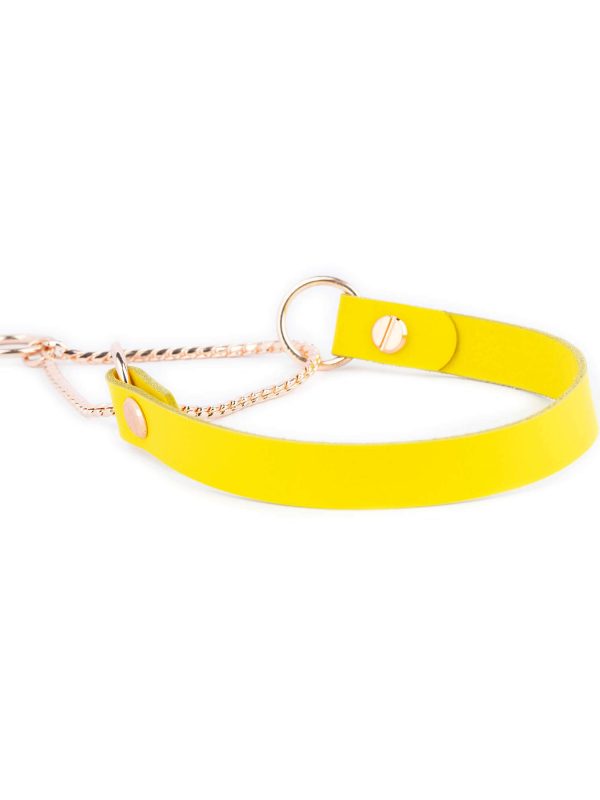 yellow leather martingale dog collar with rose gold chain 1