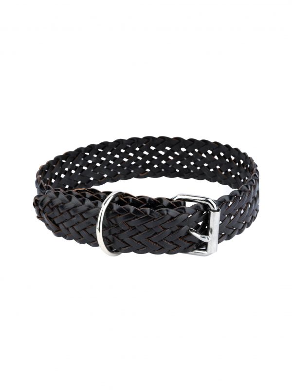 black braided leather dog collar with roller buckle 1 1