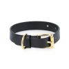 black leather dog collar gold brass buckle 1 1