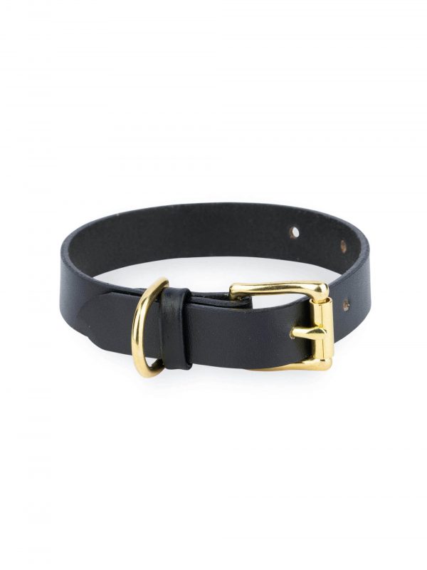 black leather dog collar gold brass buckle 1 1
