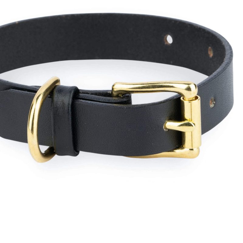 black leather dog collar gold brass buckle 2