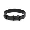 black leather dog collar with black buckle 1