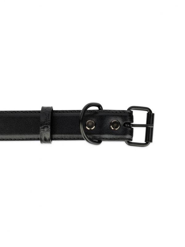 black leather dog collar with black buckle 2