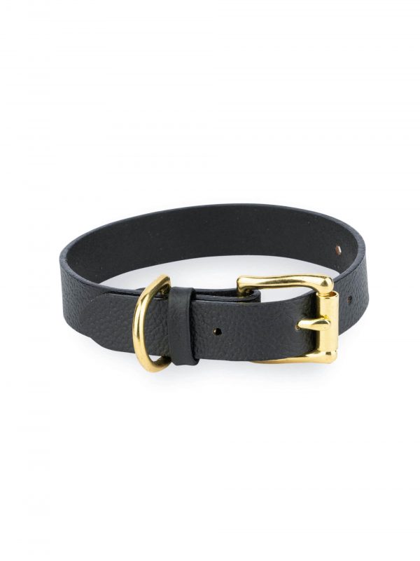 black leather dog collar with gold brass buckle 1 1