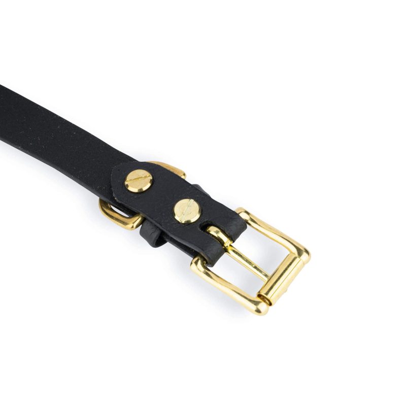 black leather dog collar with gold brass buckle 6