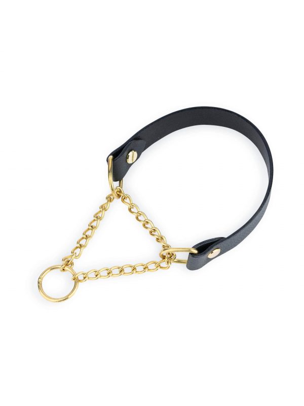 black leather martingale collar with gold chain 1