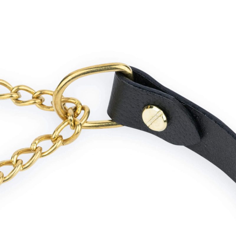black leather martingale collar with gold chain 3