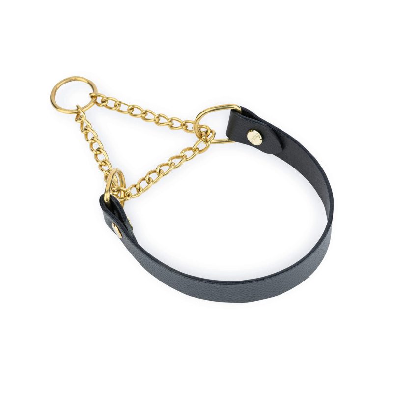 black leather martingale collar with gold chain 4