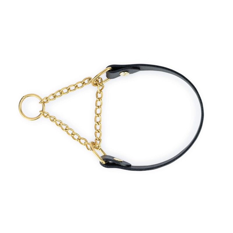 black leather martingale collar with gold chain 6
