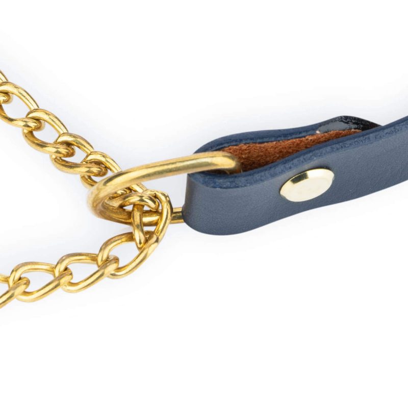 blue leather dog collar gold brass martingale chain 2
