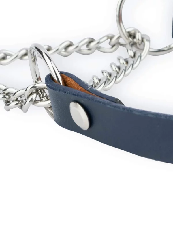 blue leather dog collar martingale chain 2