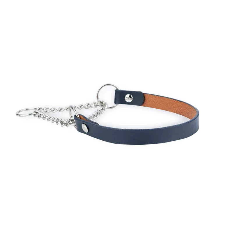 blue leather dog collar martingale chain 3