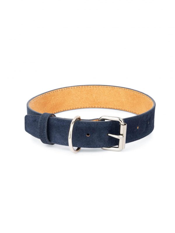 blue suede dog collar genuine leather 1