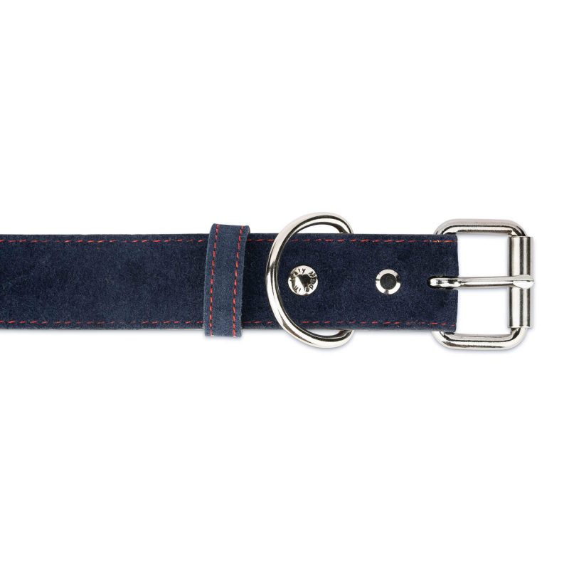 blue suede dog collar genuine leather with red stitch 3